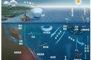 中國科學院南海海底觀測子網項目可行性研究報告.jpg